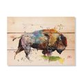 Wile E. Wood 15 x 11 in. Crousers Bison Wood Art DCBI-1511